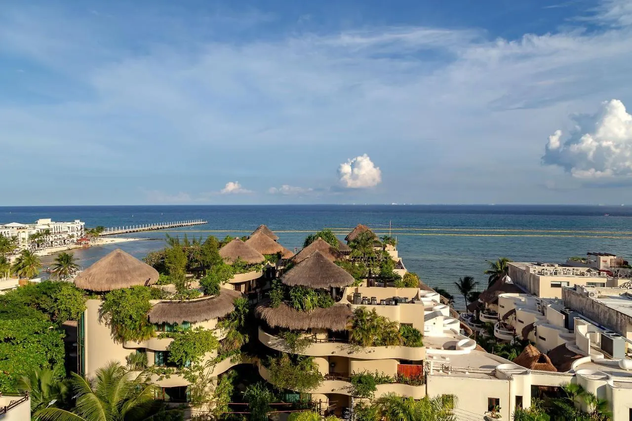 Отель Singular Joy Vacation Rentals Плая-дель-Кармен
